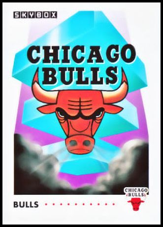 354 Chicago Bulls Logo